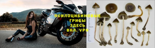 амф Верхний Тагил