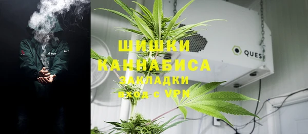 амф Верхний Тагил