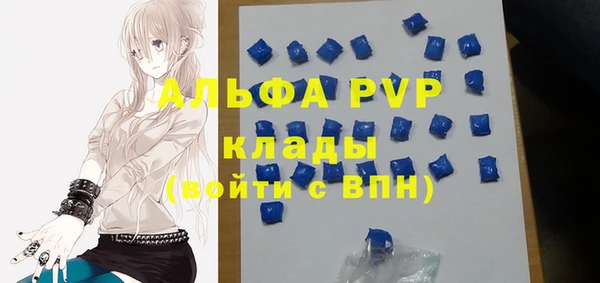стафф Володарск