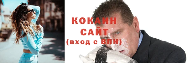 амф Верхний Тагил