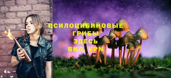 стафф Верея