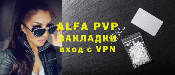амф Верхний Тагил
